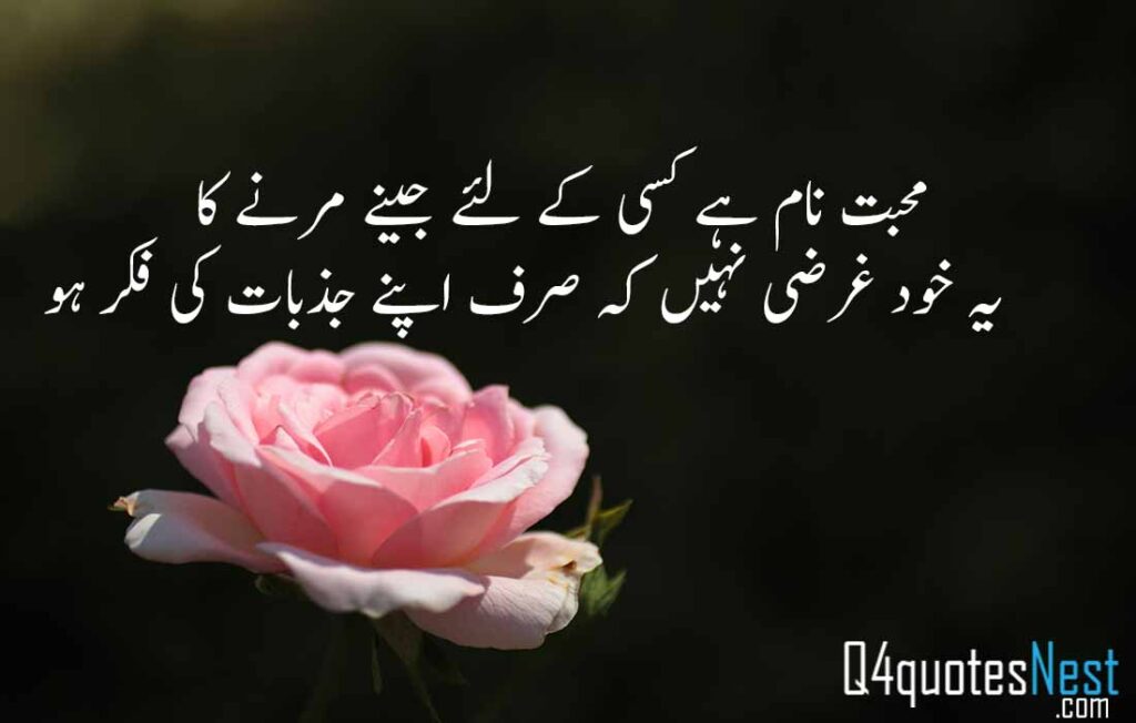 Best Love quotes poetry