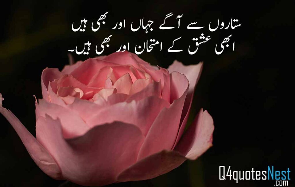 iqbal love quotes poetry